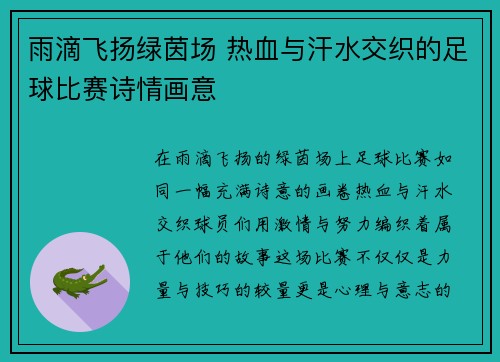 雨滴飞扬绿茵场 热血与汗水交织的足球比赛诗情画意