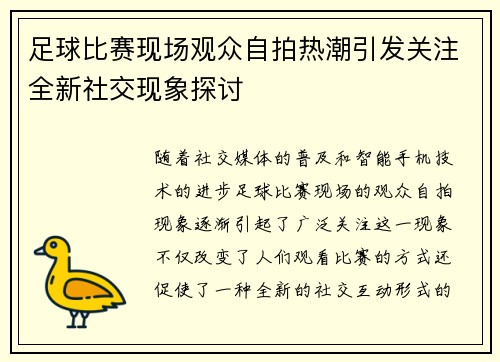 足球比赛现场观众自拍热潮引发关注全新社交现象探讨
