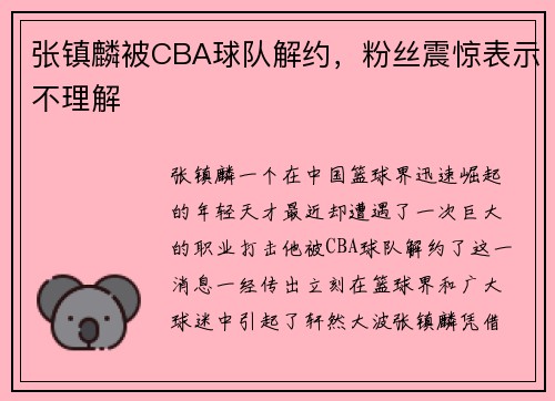 张镇麟被CBA球队解约，粉丝震惊表示不理解