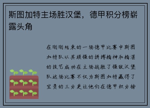 斯图加特主场胜汉堡，德甲积分榜崭露头角