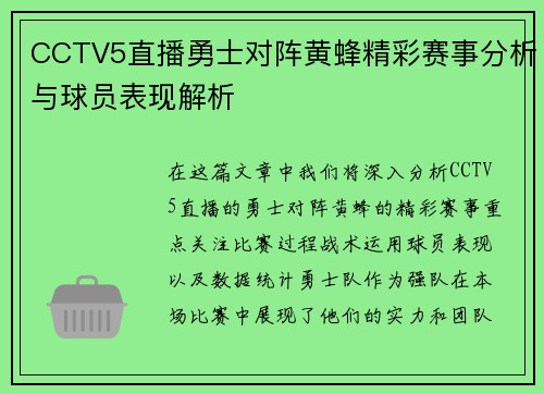 CCTV5直播勇士对阵黄蜂精彩赛事分析与球员表现解析