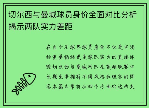 切尔西与曼城球员身价全面对比分析揭示两队实力差距